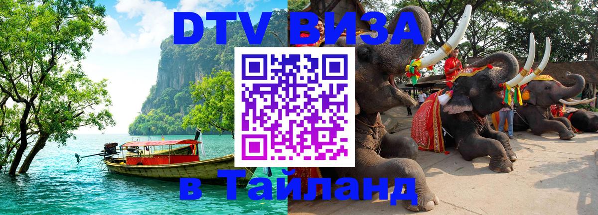 Сколько стоит DTV виза — актуальные цены, оформление даже без документов - Норильск 